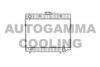 AUTOGAMMA 100534 Radiator, engine cooling